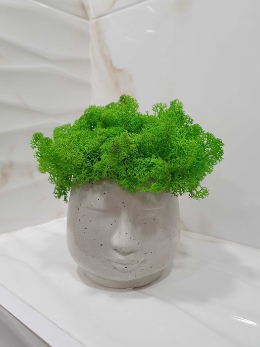 Кашпа с естествен скандинавски мъх