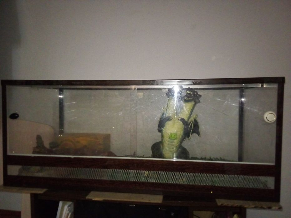 Продам Терариум для ящерицы