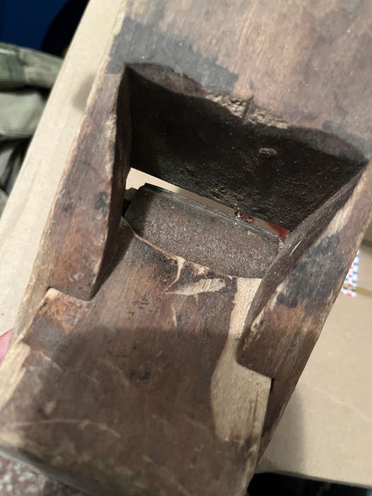 Rindea mare OANL . Suedia