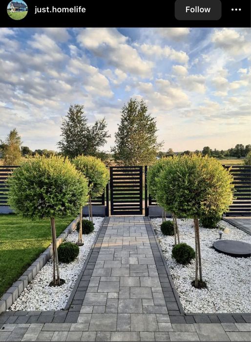 Curti si gradini  de la A la Z