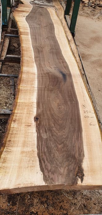 Dulapi Nuc,Stejar 40-99 cm