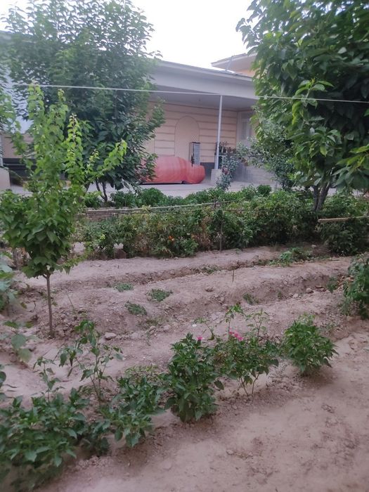 Nazarbekda, 8 sotix 9 honali har bir honani tegi podvulli sotiladi.