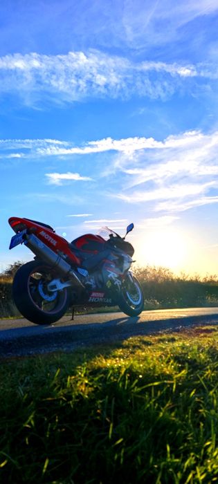 Honda CBR 954 RR Fireblade SC 59 (2002)