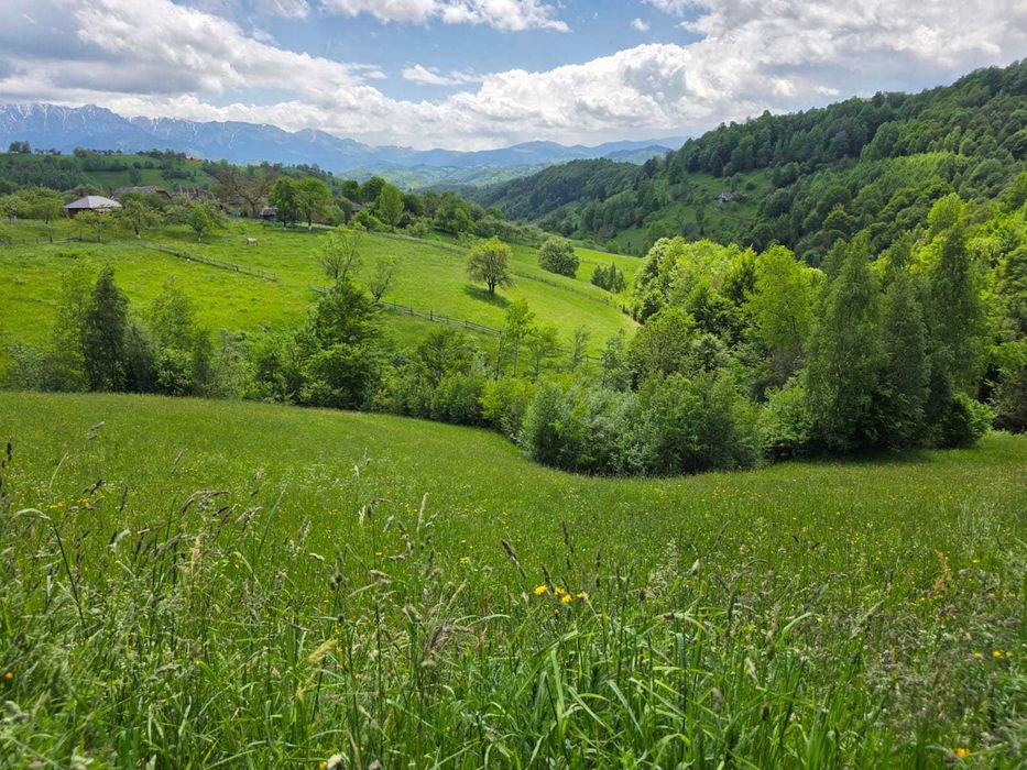 vanzare teren intravilan Sat Magura, Comuna Moieciu, Jud Brasov