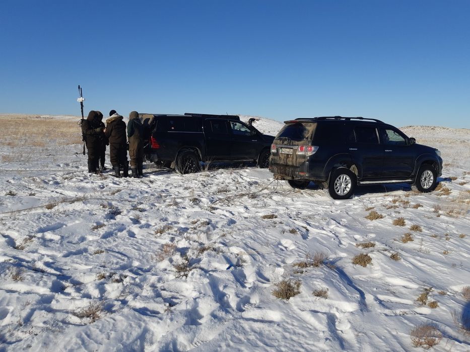 Аренда автомобиля