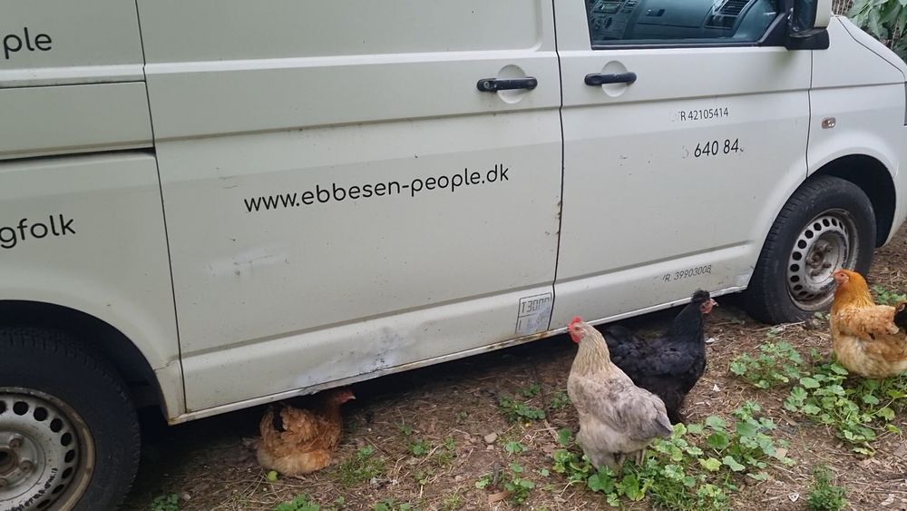 Volkswagen T5 2.5 TDI