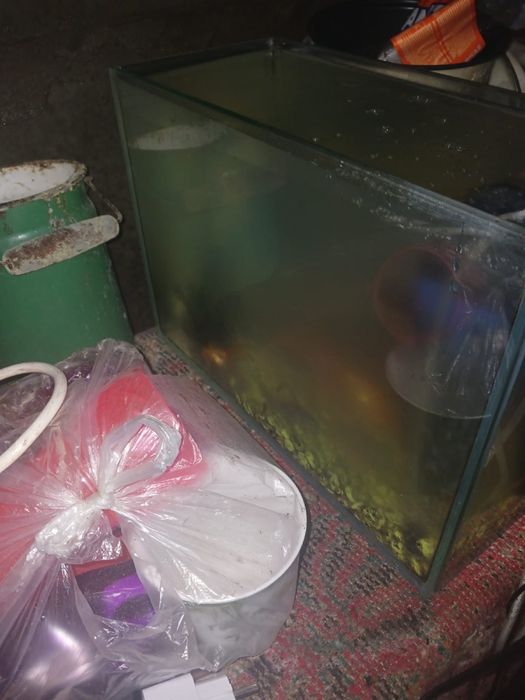 Продам аквариум , аквариум сатылады