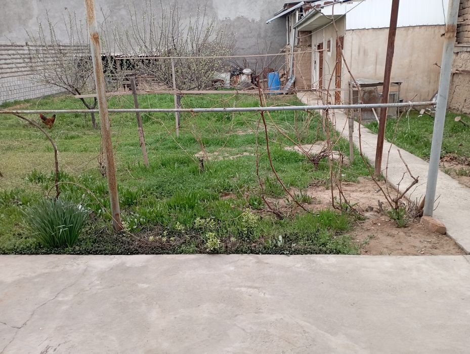 6 sotix 4 xona oshxona vana Hojatxona lari bor honalar imulsa qilingan