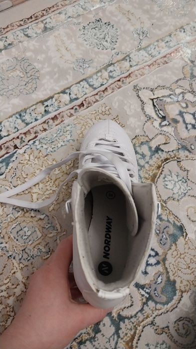 Продам коньки Nordway Nicole