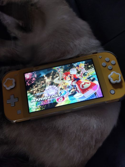 Прошитый Nintendo switch lite