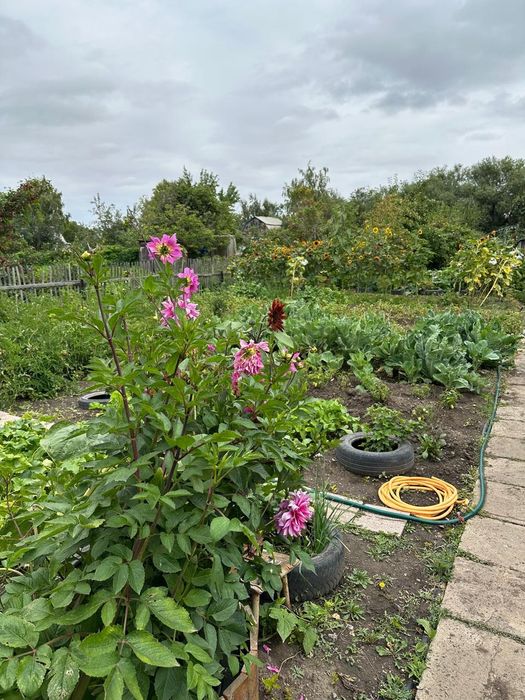 Продам дачный участок