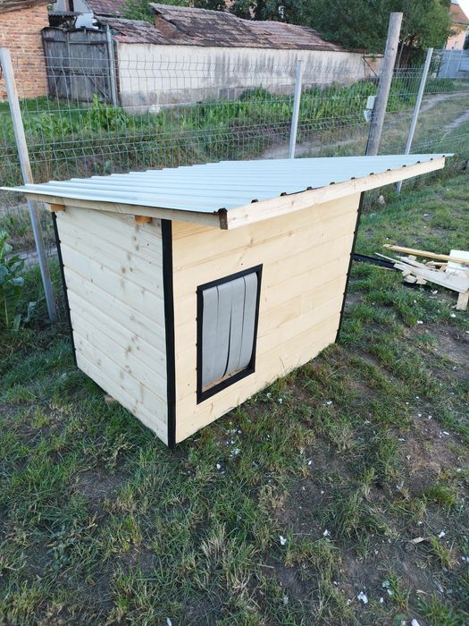 Vand cusca pentru caine