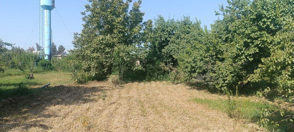 Termit t. Sabzipoya MFYda 13-maktab yaqinida  12.5 sotix yer sotiladi.
