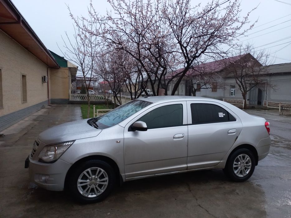 Coblt sotiladi srochna