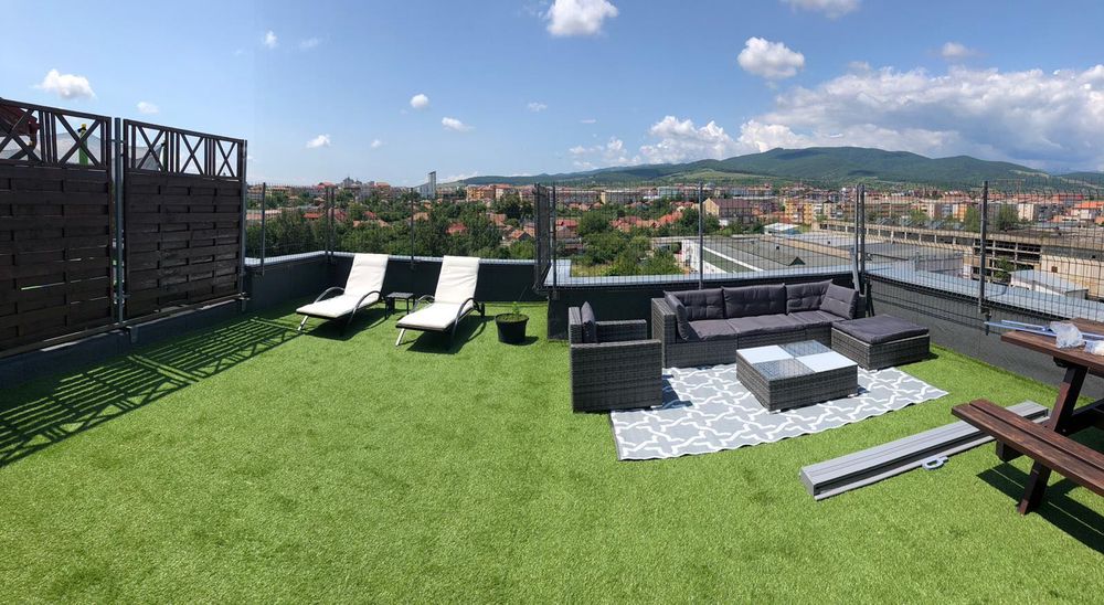Penthouse Anghel Saligny