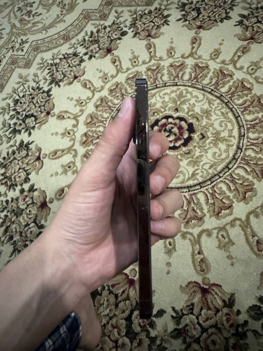 iphone 13 pro max ideal