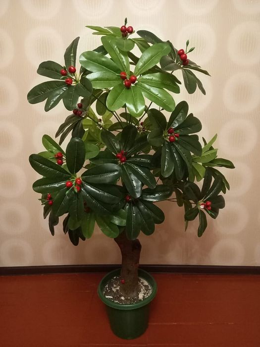 Продам искусственный