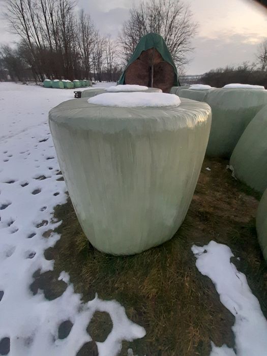 Baloti de lucerna infoliati