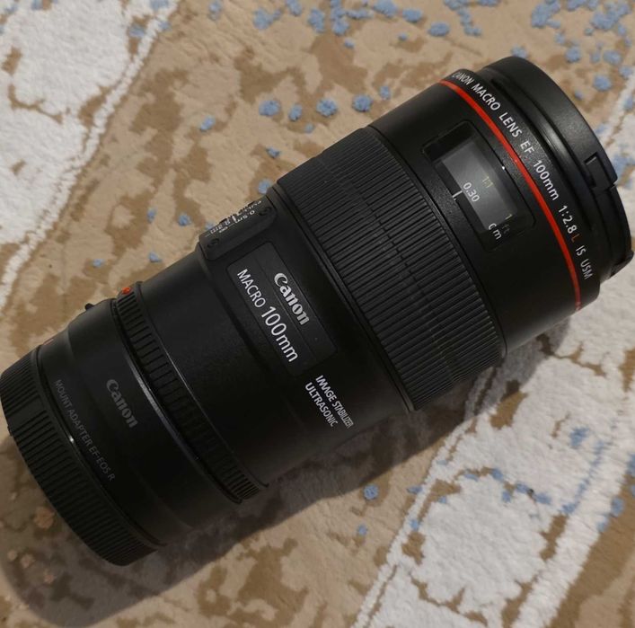 Canon EF 100mm Obiectiv Foto DSLR F2.8L Macro IS USM