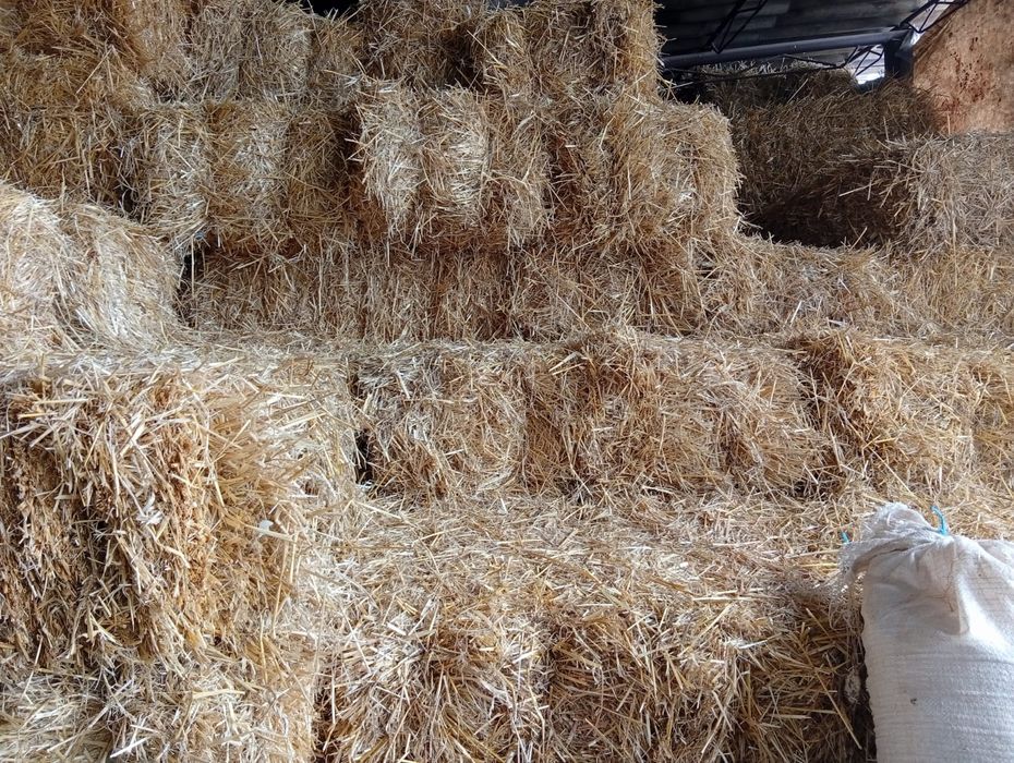 Baloți Lucerna/ Paie orz și paie grâu