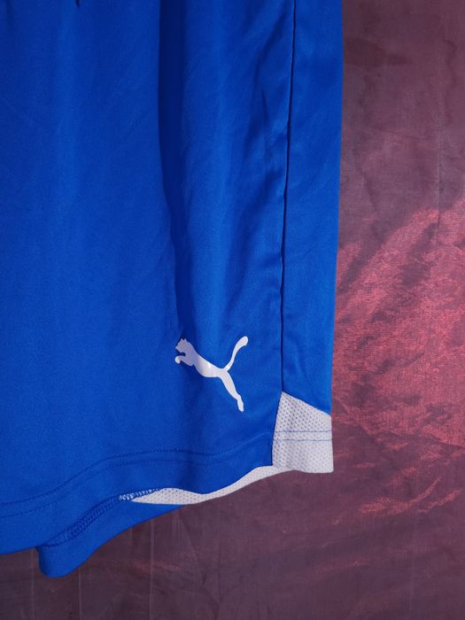 Puma Къси Панталони Мъжки S