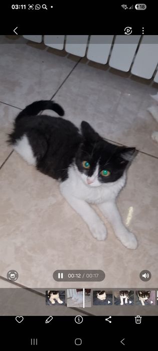 Малыш ищет мампап. Доставлю!