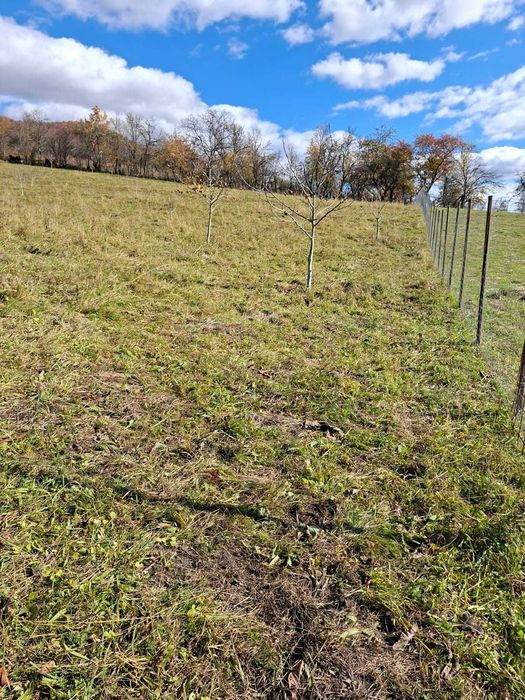 Ultimile loturi! Vând teren intravilan în Piatra Neamț, zona Bistrița