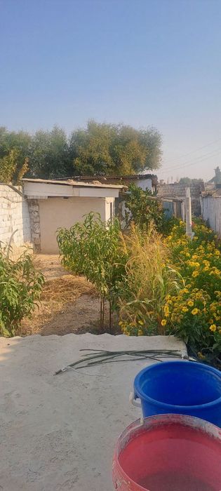 Продается дом 3 ком зангота буссув Алишер Навои махала буссув