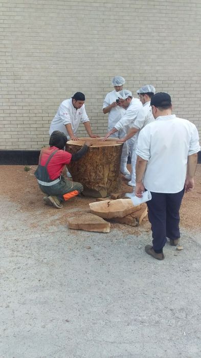 Дарахт кесиш хизмати спил обрезка деревя бензопила услуг daraxt kesish