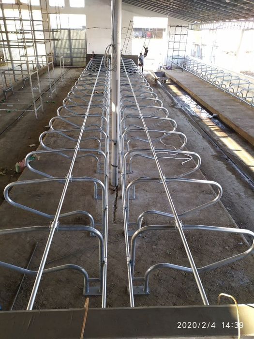 Lejanka qoramollar uchun