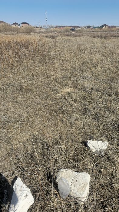 Мектепке жакын жер телімі