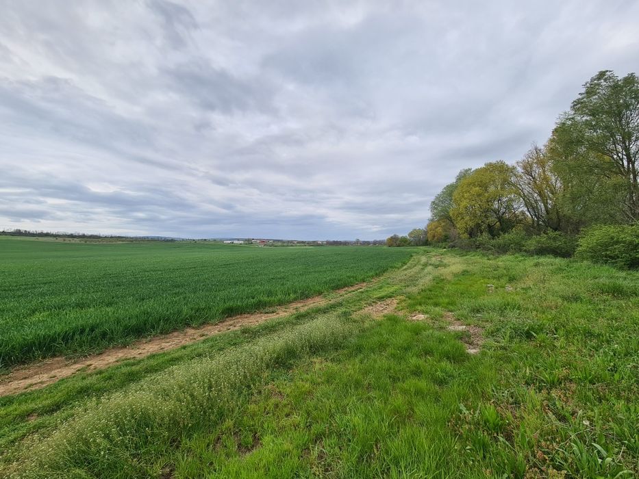 Продава се Земеделски имот в с. Ябълчево, Област Бургас -  кв.м за 2285 €/дка - Снимка #6