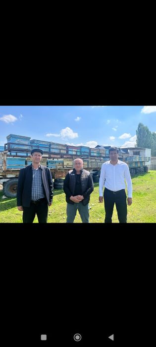 Зомин табиий асали