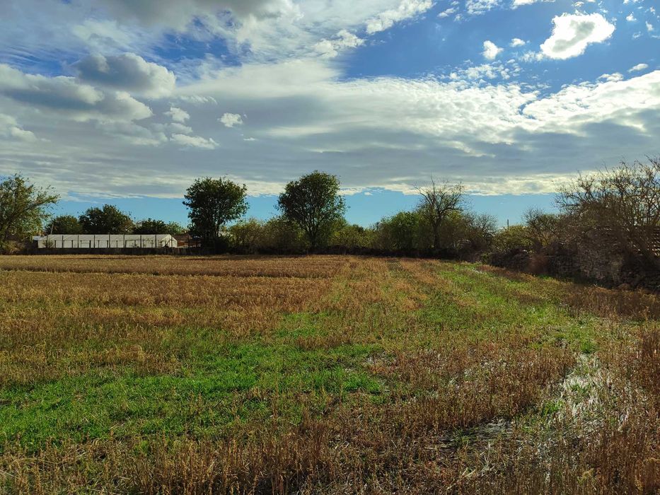 Продава се Парцел в с. Българево, Област Добрич - 4500 кв.м за 16 €/кв.м - Снимка #6