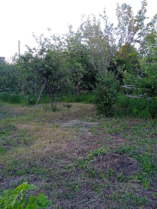 Срочно Продам приватизированую дачу