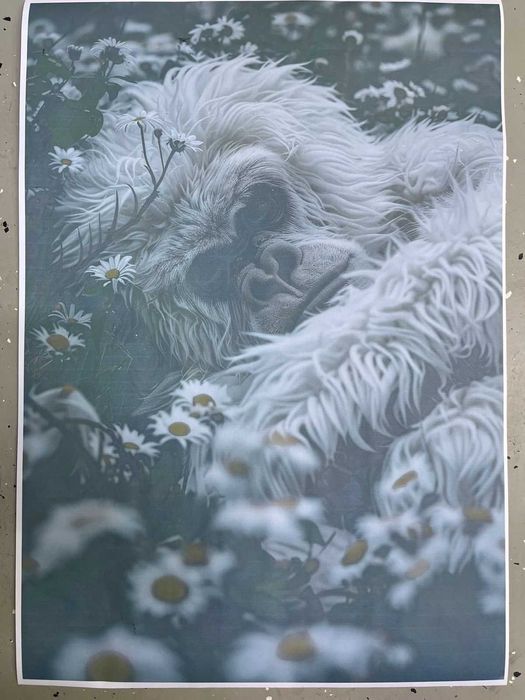 Canon Tc-20 принтер продам