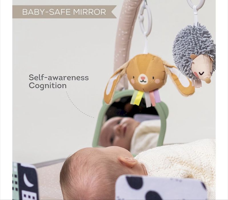 Музикална активна гимнастика Taf Toys - Зайче Джени и приятели