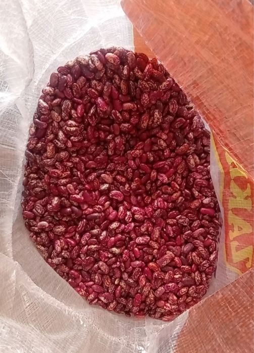 Маш, фасоль, рис лазер, лобия