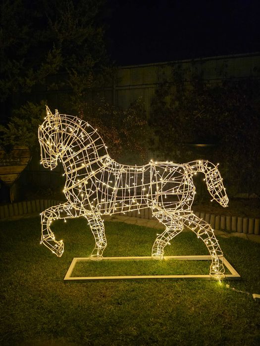 Светящийся коник