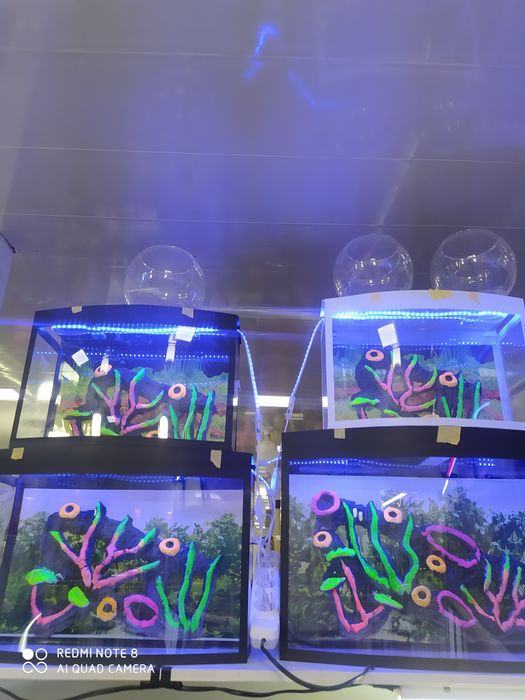 Akvarium yengi 20 litr