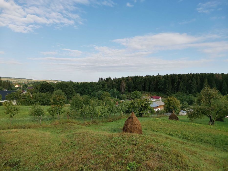 Vand teren intravilan cu casă – 7400 mp în Sasca Mare, Suceava