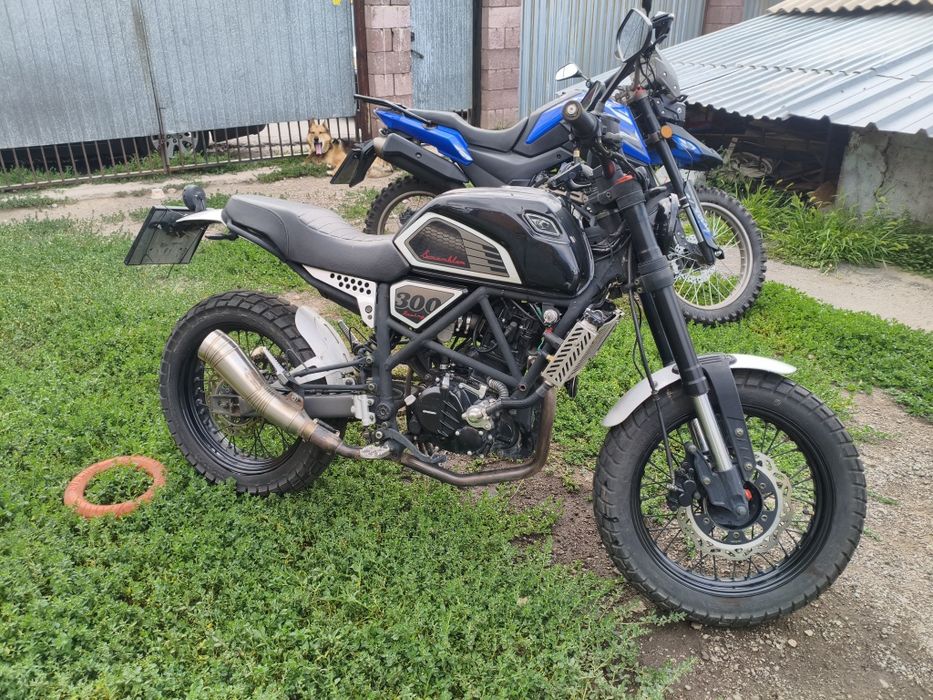 Geon Scrambler 300