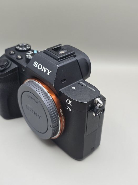 SONY α100 Sony Alpha DSLR-A100 - Classic digital - Christopher J Osborne