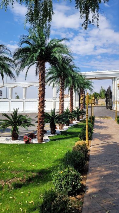 Изкуствена палма