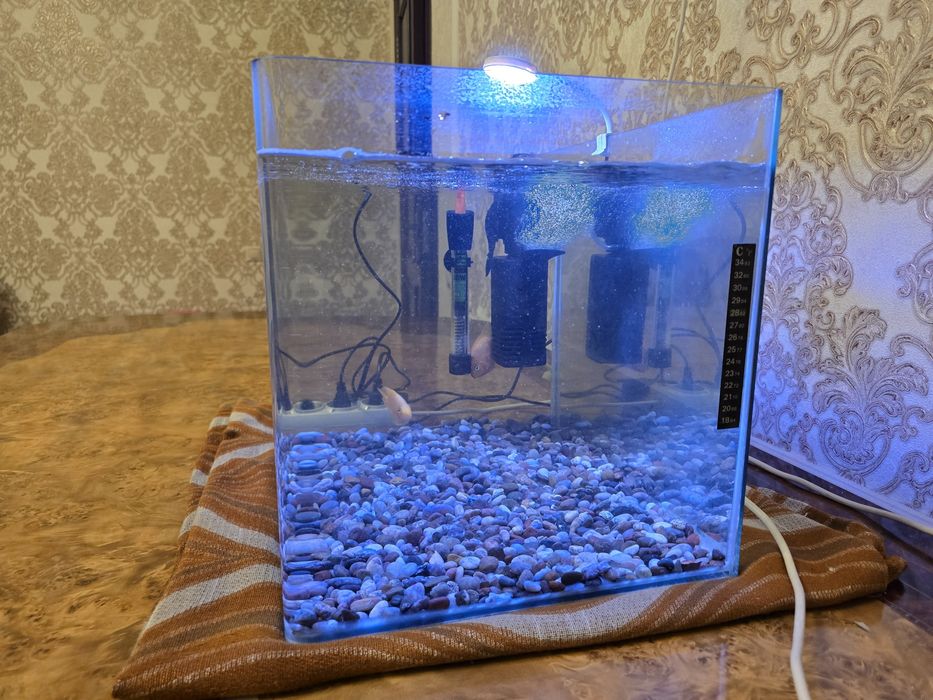 Аквариум с рыбками