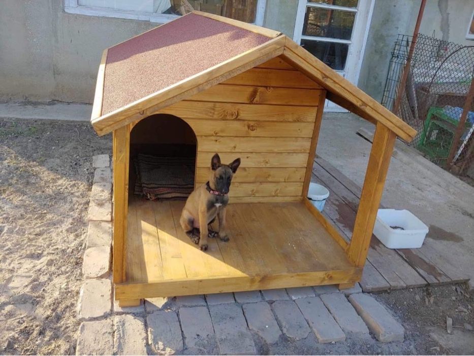 Кучешки къщи, къща за куче