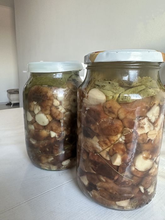 Валуи 2025 года