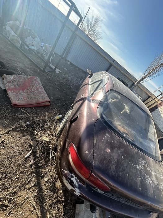 Актобе кок разбор