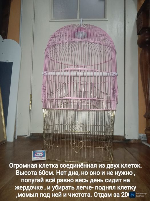 Клетки . Почти даром отдаю
