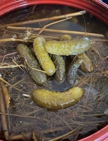 Castraveți murați angro